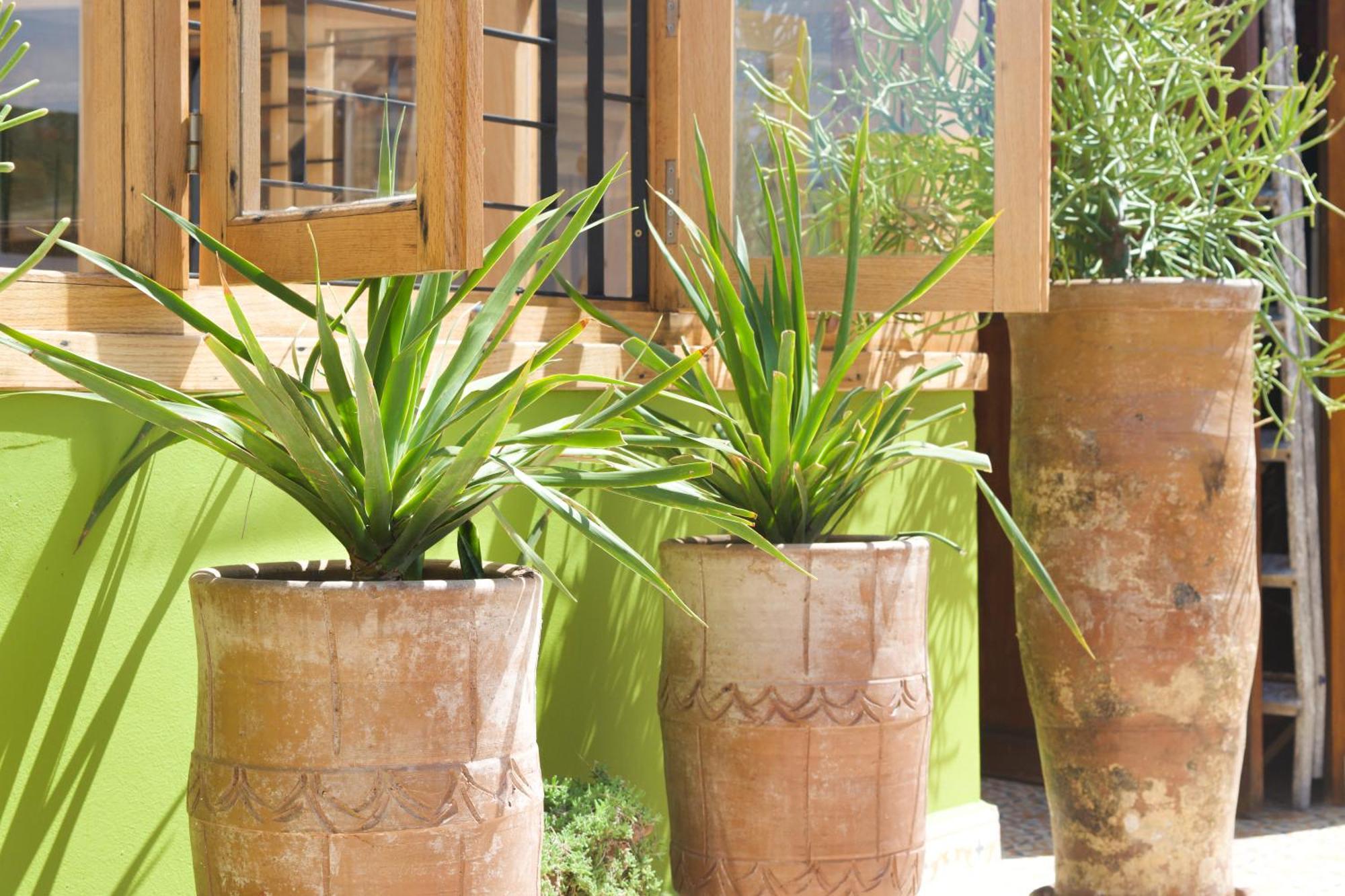 Riad Le Khan Mogador Essaouira Exterior photo
